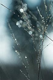 《英雄传说：黎之轨迹》Switch版预购开启 体验版同步发布